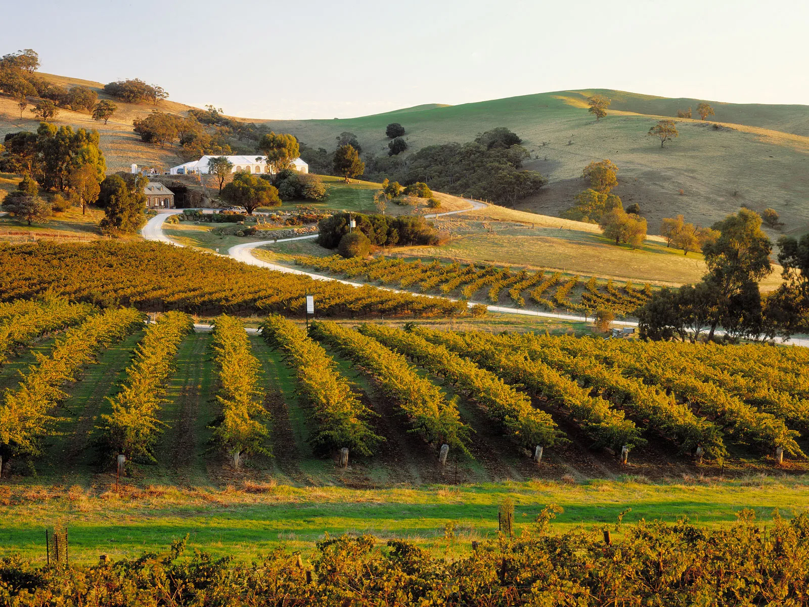 Thung lũng Barossa - Thiên đường rượu vang nước Úc