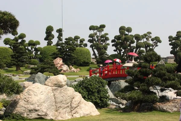 Công viên Cá Koi Rin Rin Park