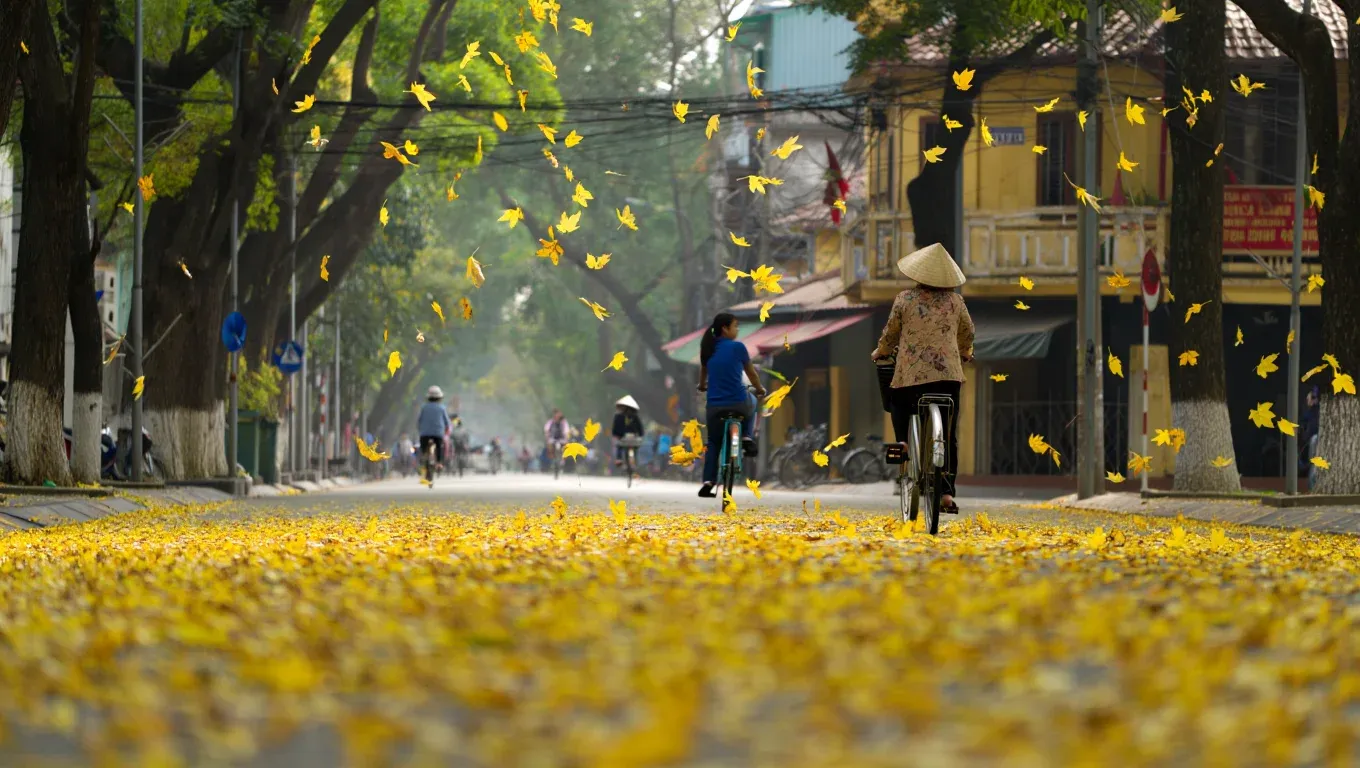Vé máy bay giá rẻ tháng 9 khám phá mùa thu