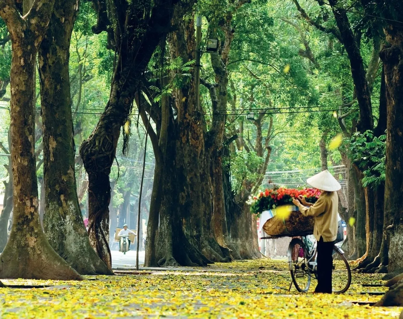Mùa thu Hà Nội, mùa đẹp và lãng mạn nhất trong năm