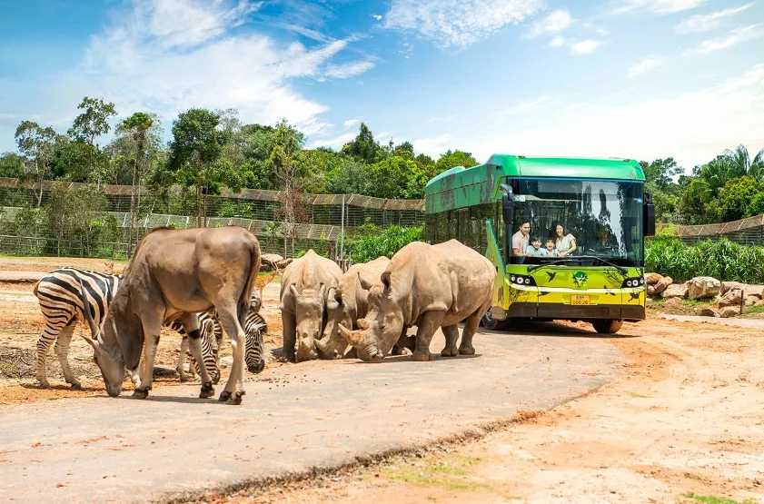 Công viên chăm sóc và bảo tồn động vật Vinpearl Safari Phú Quốc