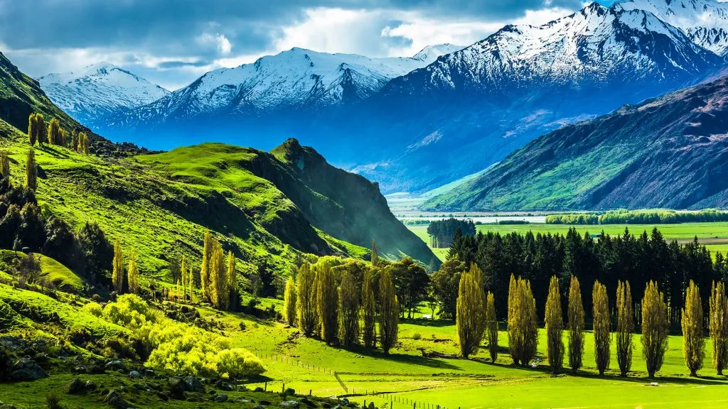 Vé máy bay đi New Zealand giá rẻ khám phá xứ sở Kiwi