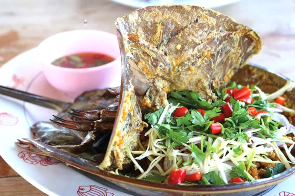 Gỏi sam được chế biến vô cùng tỉ mỉ và cầu kỳ