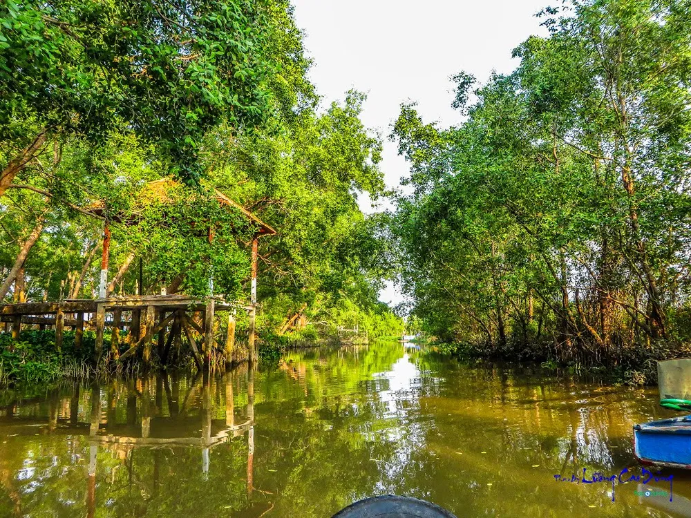 Cồn Ấu là điểm đến cho du khách muốn trải nghiệm nghỉ dưỡng giữa thiên nhiên