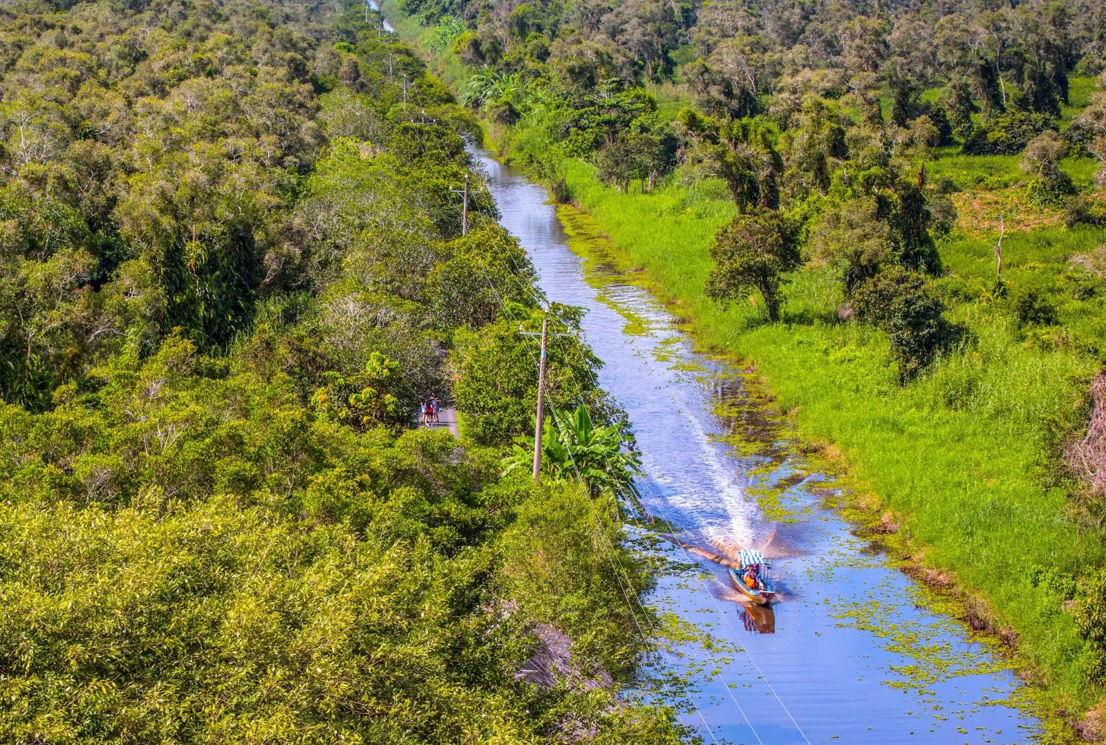 Cà Mau kênh rạch dưới nắng vàng