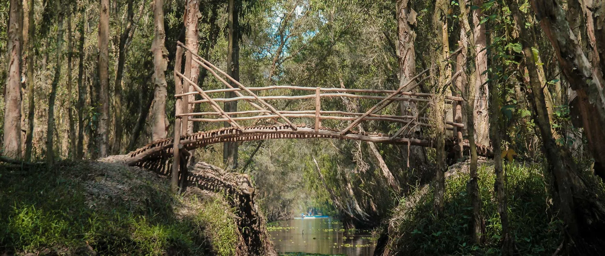 Cây cầu tre bắc qua con rạch trong rừng đước