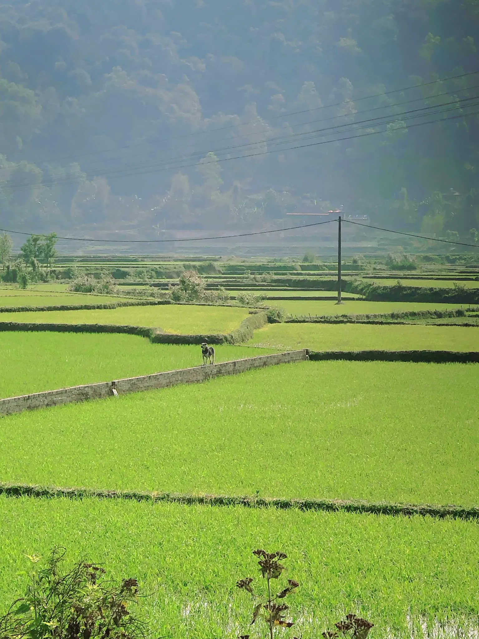 Du lịch Điện Biên, vùng đất tràn ngập những khúc ca tự hào