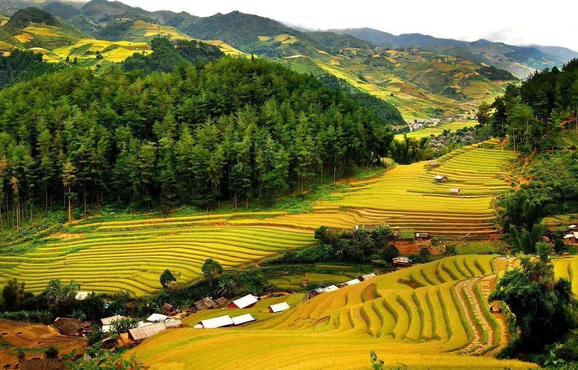 Vé máy bay Sài Gòn Thanh Hóa