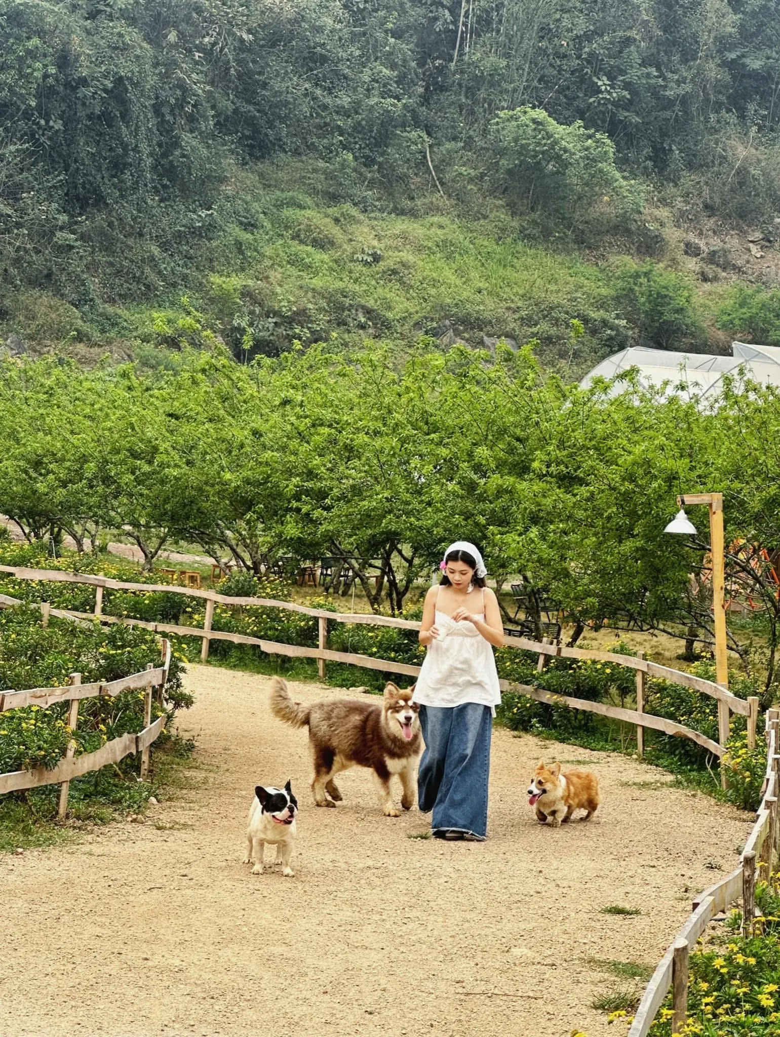 Hè đi du lịch ở đâu? Gợi ý 7 điểm đến an toàn, vui chơi thỏa thích cho gia đình có trẻ nhỏ